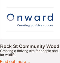 Rock St Community Wood Creating a thriving site for people and  for wildlife.  Find out more