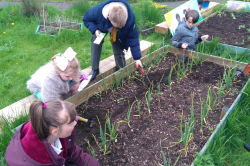 children planting in raised bed as part of ecotherapy project in rochdale