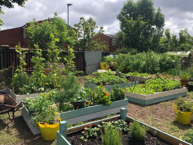 mental health service users build raised beds for growing at North Manchester General Hospital