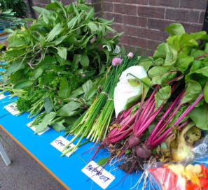 array of colourful harvested project from central Salford school project