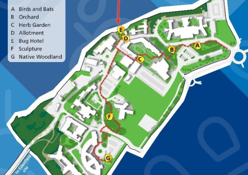 map of new Green Health Walk at Prestwich Hospital in Greater Manchester