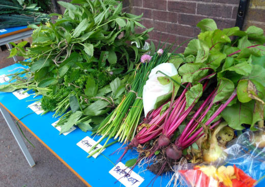 array of colourful harvested project from central Salford school project