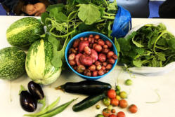 fresh produce harvested from bangladeshi women's centre community garden in longsight