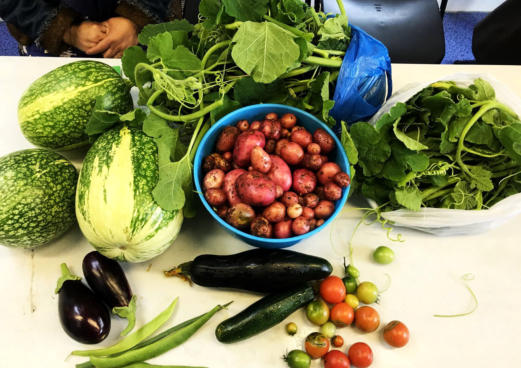 fresh produce harvested from bangladeshi women's centre community garden in longsight