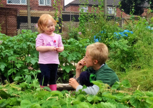 girl and boy in community garden picking strawberries