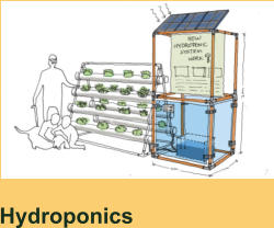 Hydroponics