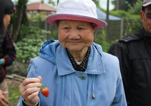 older woman from chinese elders group in manchester holds strawberry 