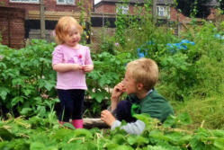 girl and boy in community garden picking strawberries