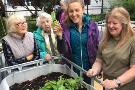 older adults harvesting vegetables from a community garden