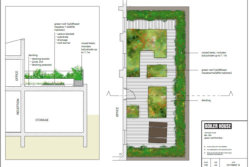 design for green roof project at the boiler house moss side manchester